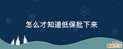 怎么才知道低保批下来