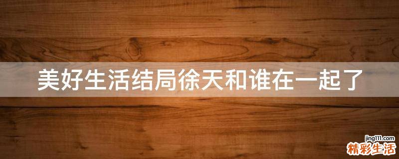 美好生活结局徐天和谁在一起了