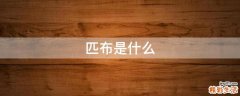 匹布是什么