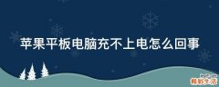 苹果平板电脑充不上电怎么回事