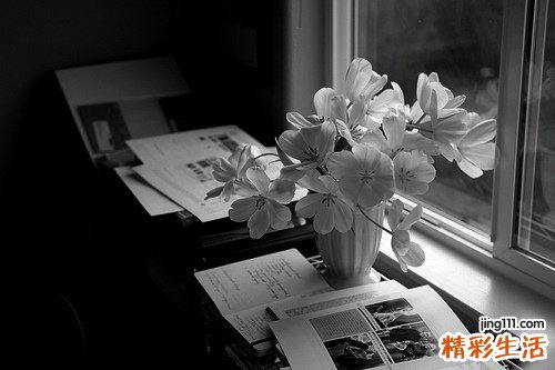 【如何天然护发？】 让你的头发远离躁动