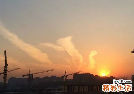 【如何让头皮头发不油腻？】调节脾肺养发美颜