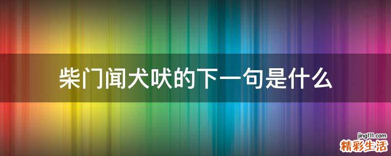 柴门闻犬吠的下一句是什么