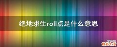 绝地求生roll点是什么意思