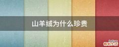 山羊绒为什么珍贵