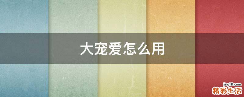 大宠爱怎么用