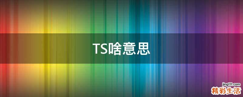 TS啥意思