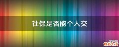 社保是否能个人交