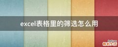 excel表格里的筛选怎么用