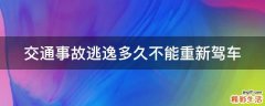 交通事故逃逸多久不能重新驾车