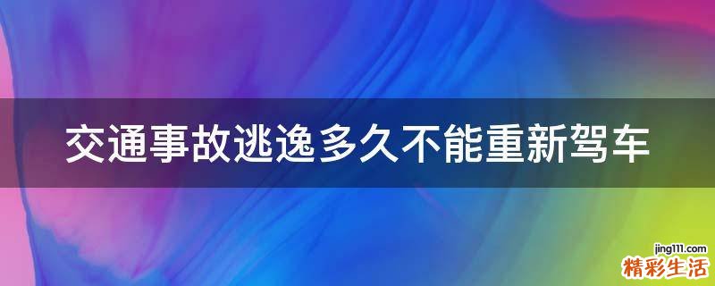 交通事故逃逸多久不能重新驾车