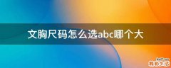 文胸尺码怎么选abc哪个大