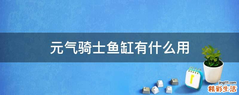 元气骑士鱼缸有什么用