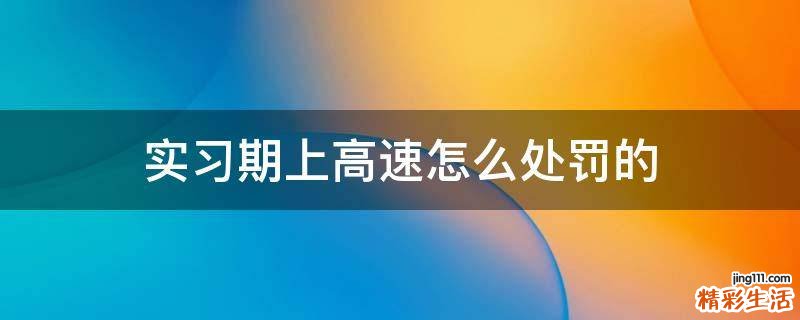 实习期上高速怎么处罚的