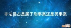非法侵占是属于刑事案还是民事案