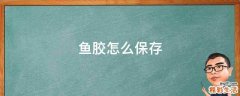 鱼胶怎么保存