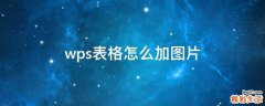 wps表格怎么加图片