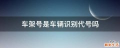 车架号是车辆识别代号吗