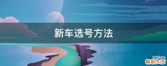 新车选号方法