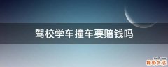 驾校学车撞车要赔钱吗