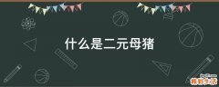 什么是二元母猪