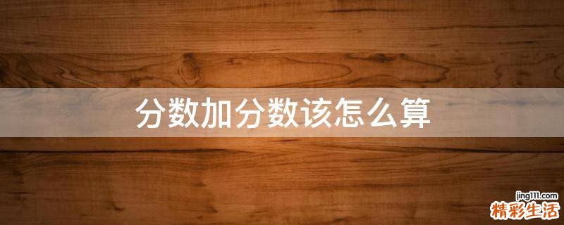 分数加分数该怎么算