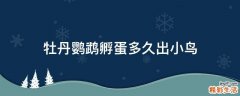 牡丹鹦鹉孵蛋多久出小鸟
