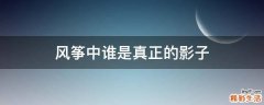 风筝中谁是真正的影子