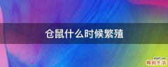 仓鼠什么时候繁殖