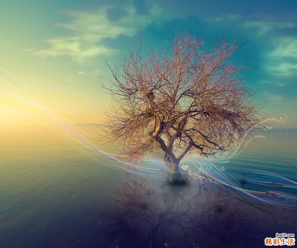 肝病患者秋季慎吃蟹