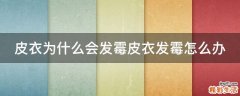 皮衣为什么会发霉皮衣发霉怎么办