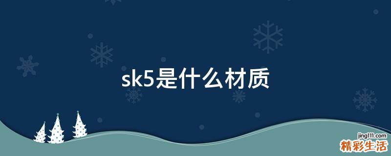 sk5是什么材质