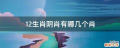 12生肖阴肖有哪几个肖