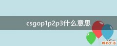 csgop1p2p3什么意思