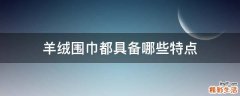 羊绒围巾都具备哪些特点