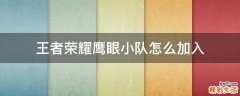 王者荣耀鹰眼小队怎么加入