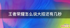 王者荣耀怎么说大招还有几秒