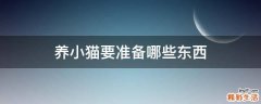 养小猫要准备哪些东西