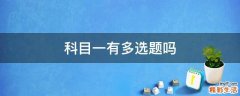 科目一有多选题吗