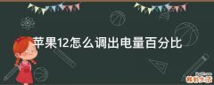 苹果12怎么调出电量百分比
