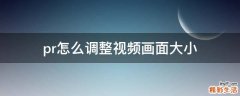 pr怎么调整视频画面大小