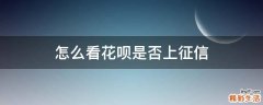 怎么看花呗是否上征信