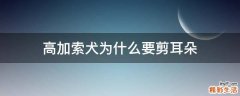 高加索犬为什么要剪耳朵
