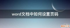 word文档中如何设置页码