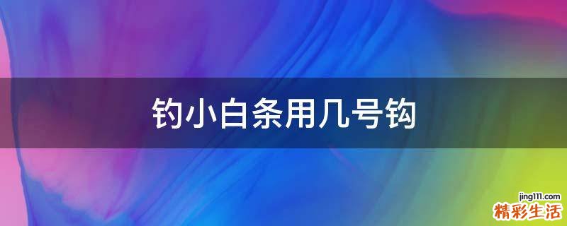 钓小白条用几号钩