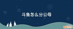 斗鱼怎么分公母