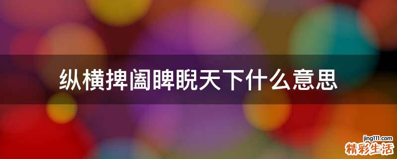 纵横捭阖睥睨天下什么意思