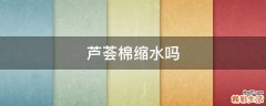 芦荟棉缩水吗