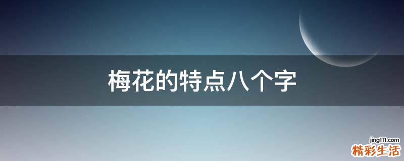 梅花的特点八个字