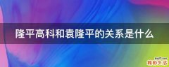 隆平高科和袁隆平的关系是什么